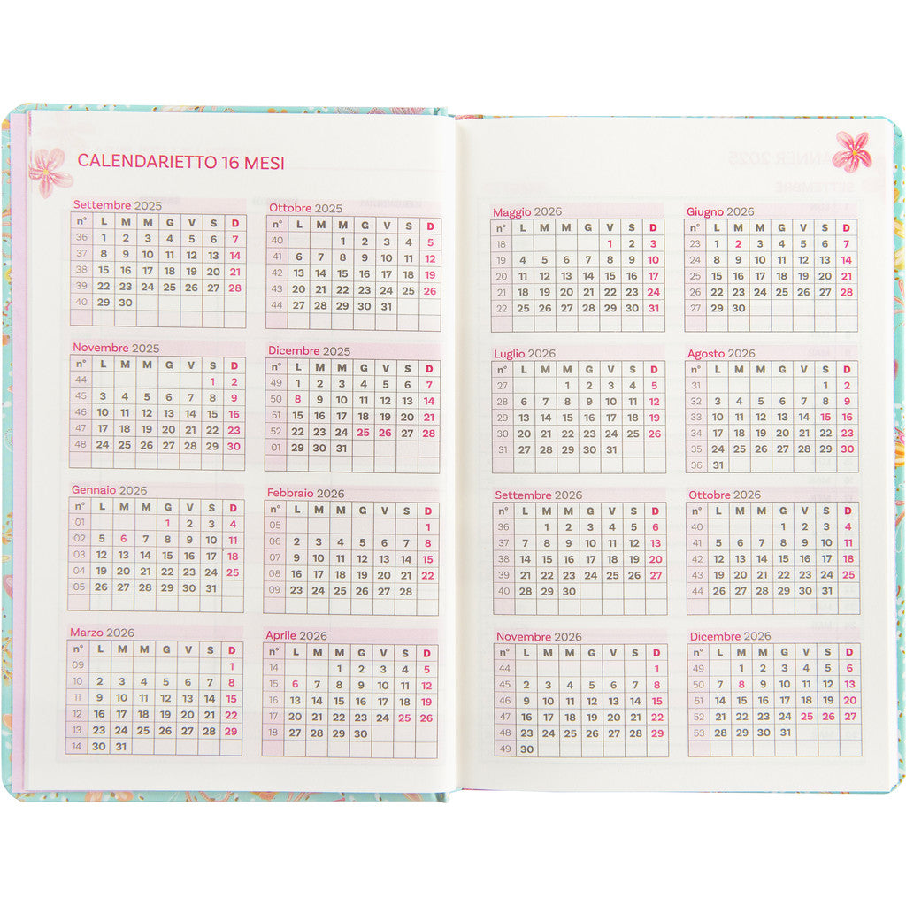 Agenda 13 Mesi 2025/26 - Turnowky - Settimanale