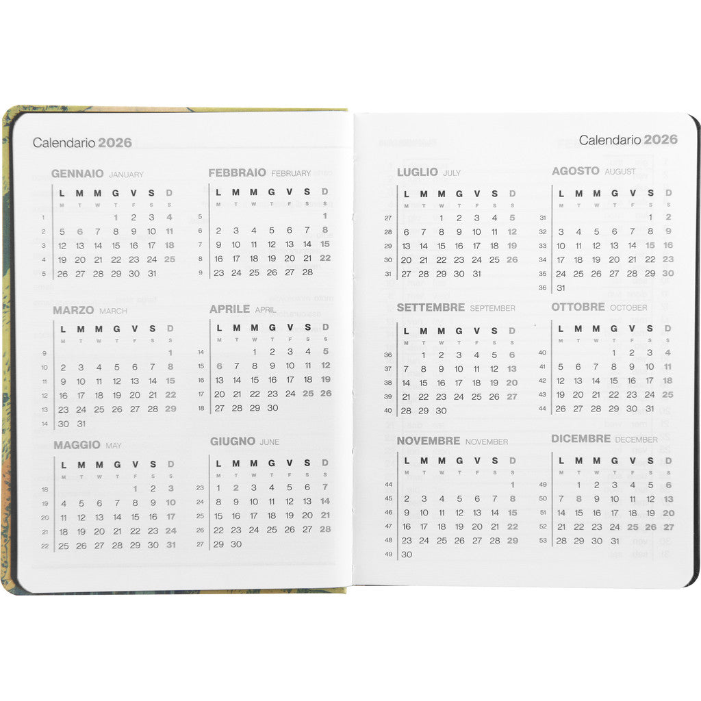 Agenda 12 Mesi 2026 Large Settimanale - Haltadefinizione