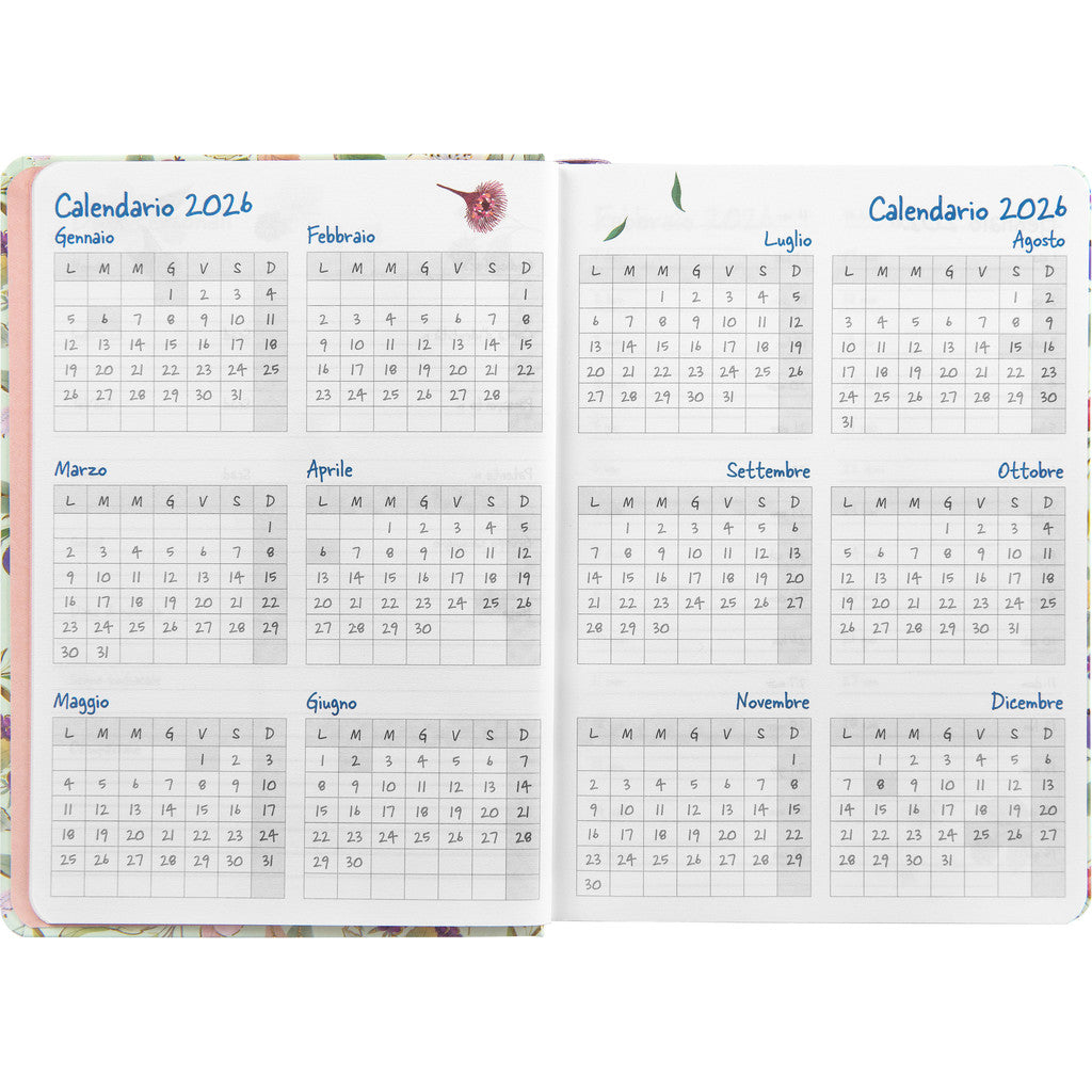 Agenda 12 Mesi 2026 Mini Giornaliera - Turnowsky