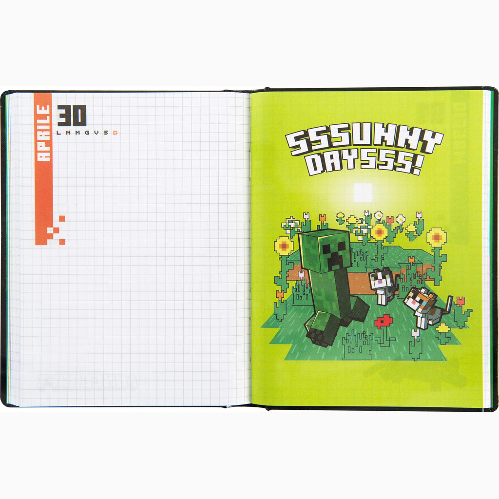 Diario 12 Mesi 2025/26 - Minecraft - Giornaliero non datato