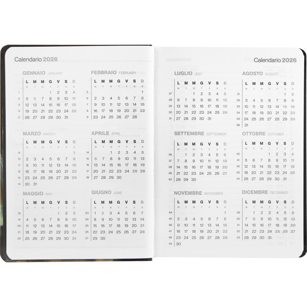 Agenda 12 Mesi 2026 Large Settimanale - Haltadefinizione