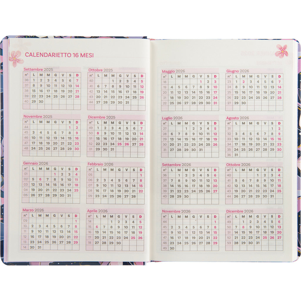 Agenda 13 Mesi 2025/26 - Turnowky - Settimanale