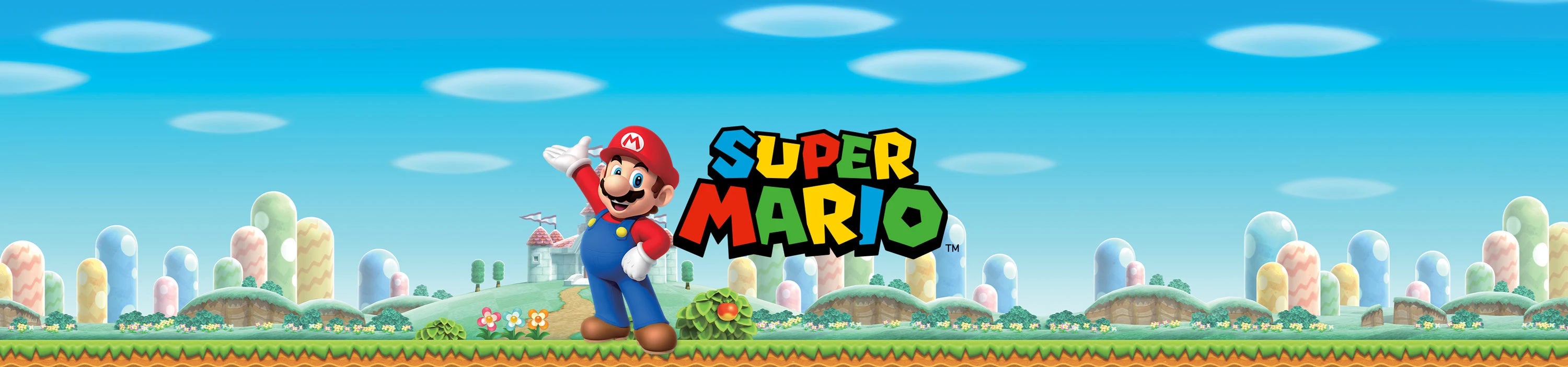 Astucci Super Mario