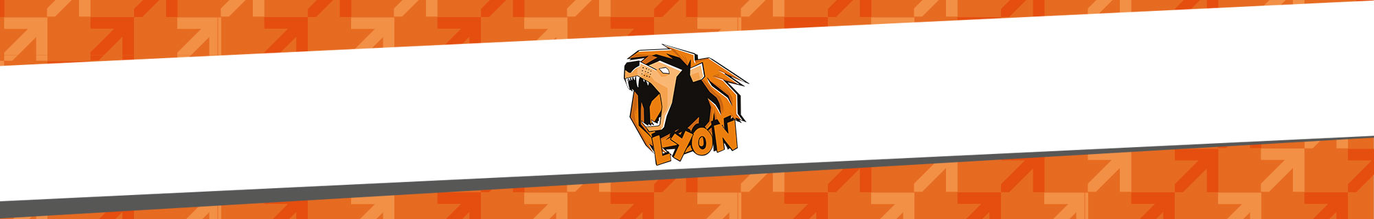 Lyon Gamer