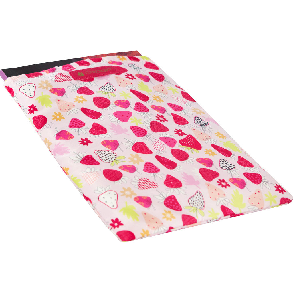 Cover Book Turnowsky